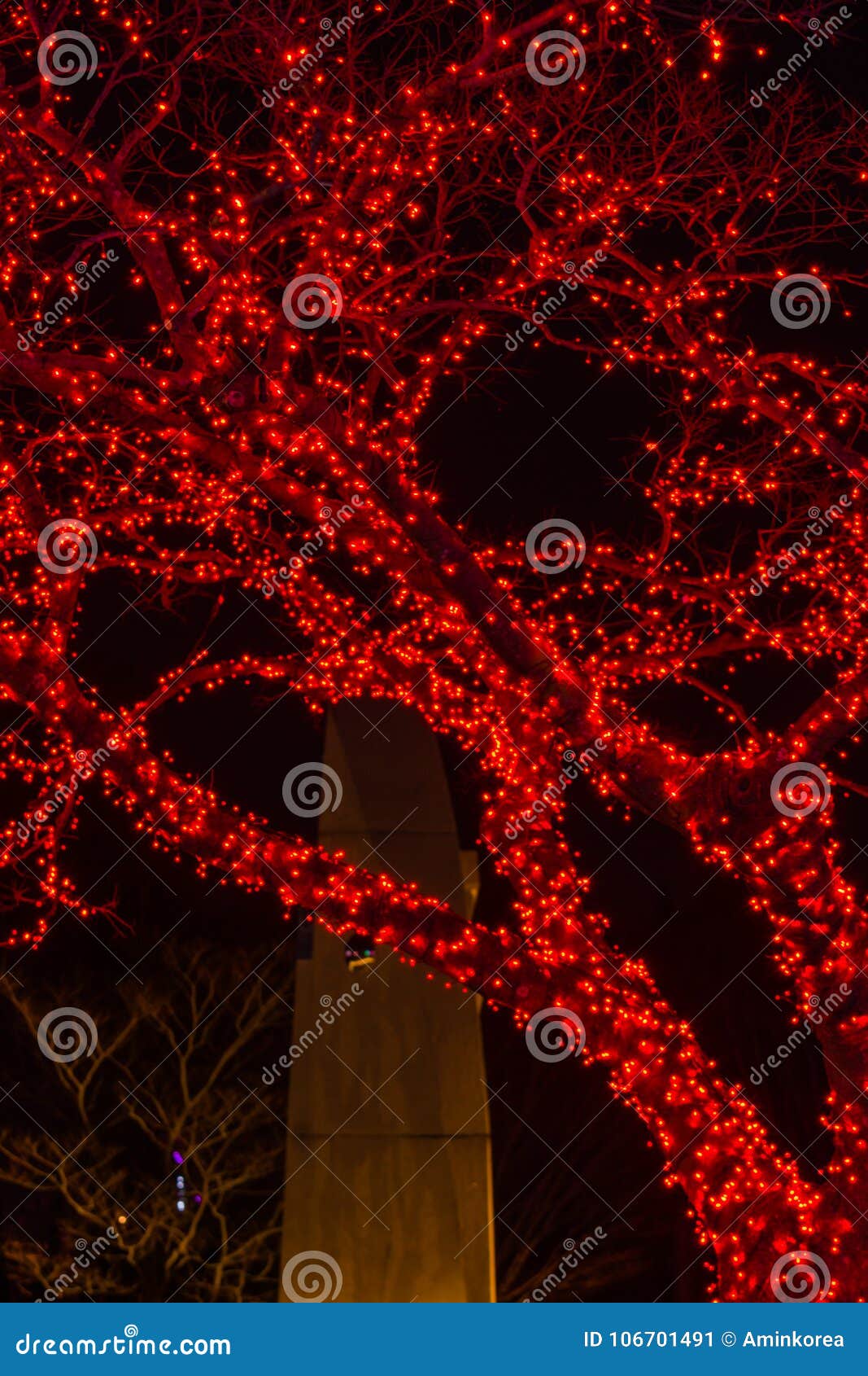 Red Christmas Lights on Tree Stock Image Image of decorative, card