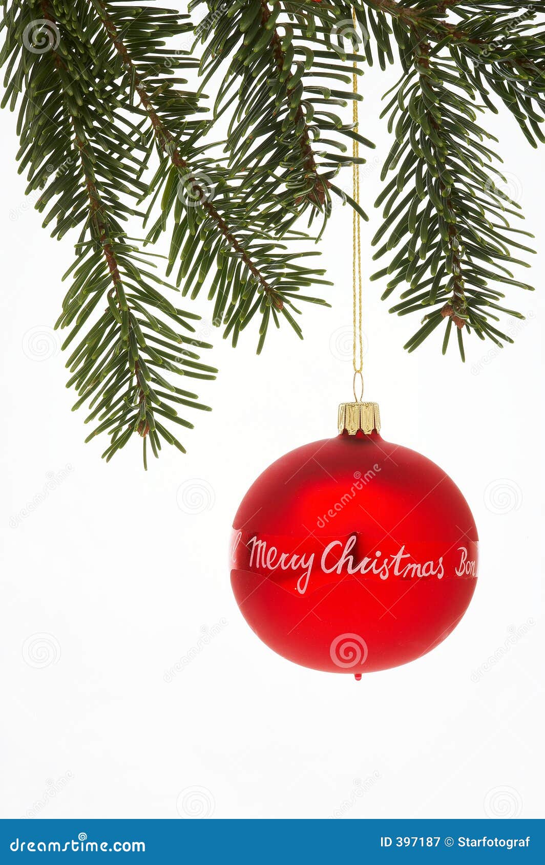 red christmas tree ball with spruce - rote weihnachtskugel mit t