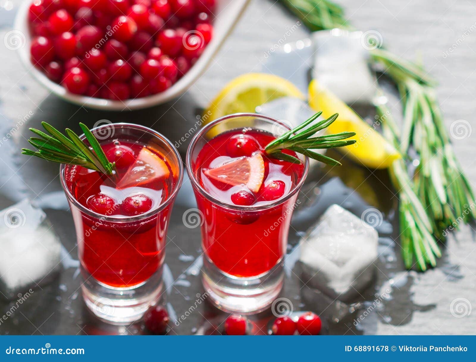 Red Cocktail with Fresh Cranberries, Lemon, Rosemary and Vodka Stock