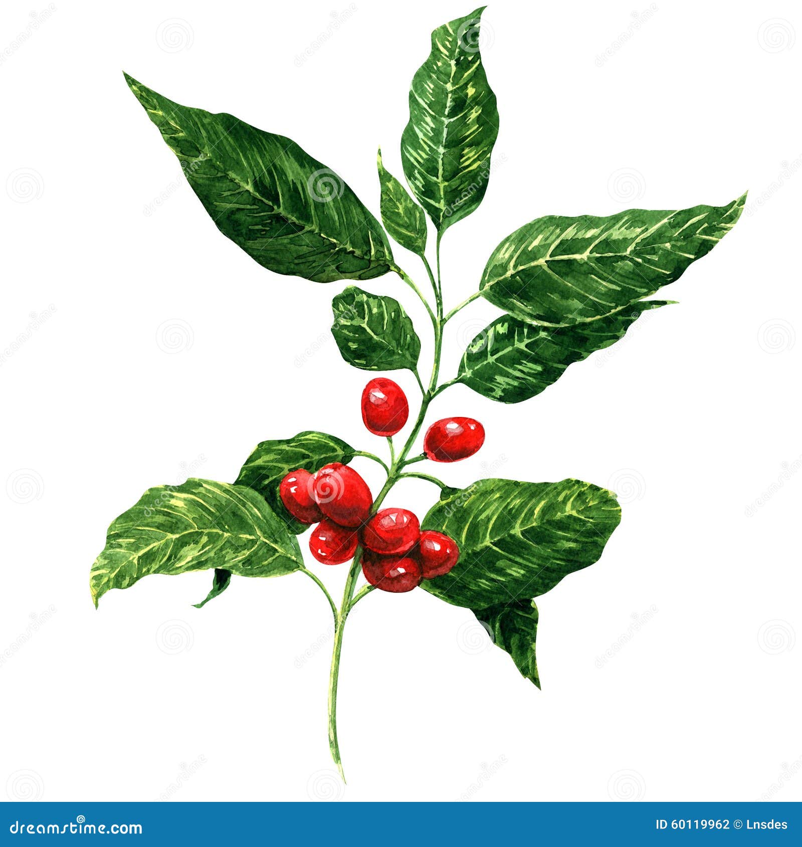 coffee tree clipart - photo #38