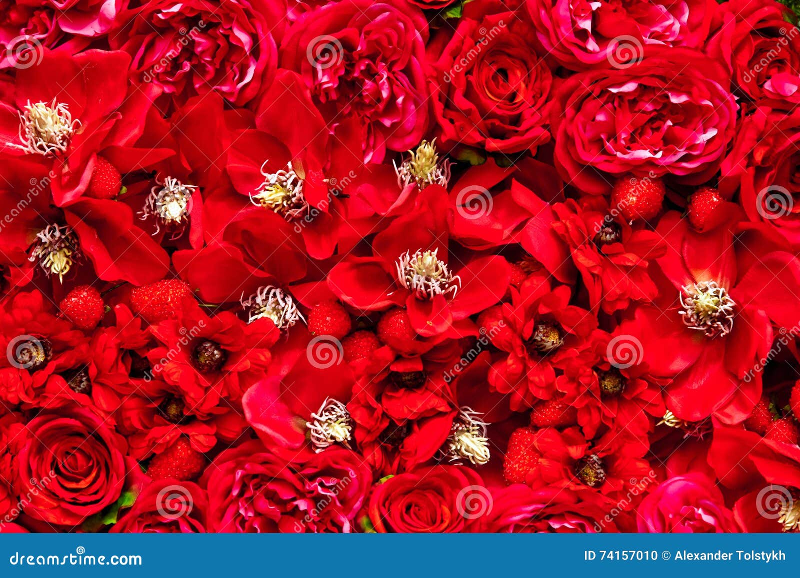 Red color flowers stock photo. Image of purple, color 74157010
