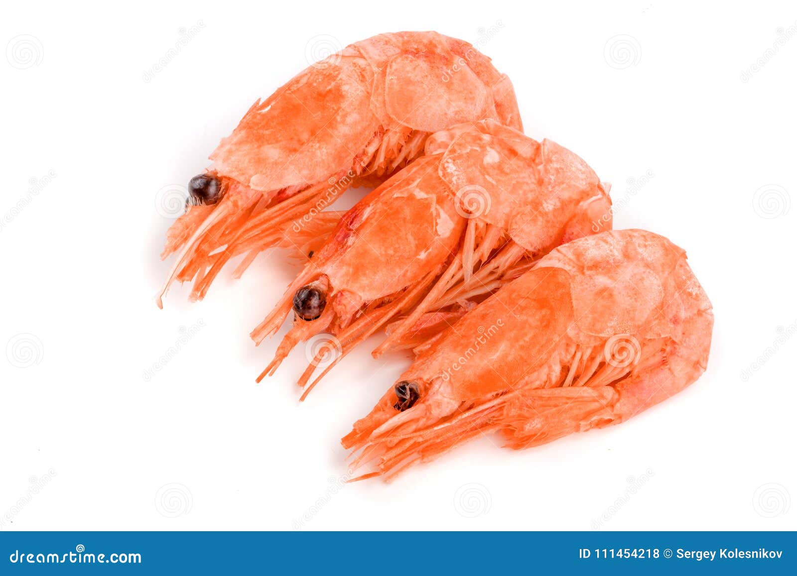 Red Cooked Prawn or Shrimp Isolated on White Background Stock Photo