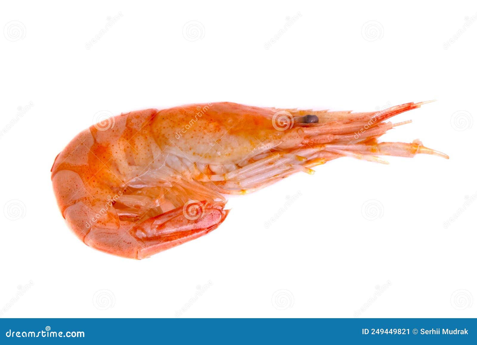 Red Cooked Prawn Or Shrimp Isolated On White Background Stock Photo