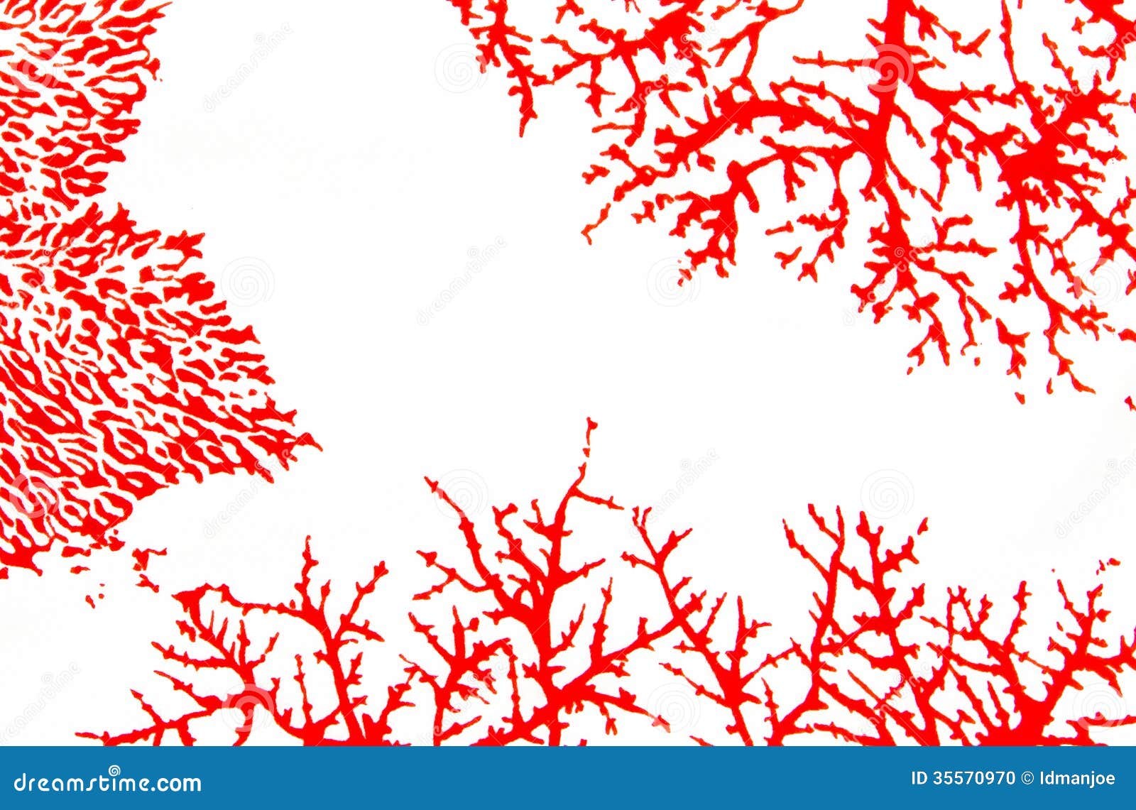 Red coral stock illustration. Illustration of alcyonacea - 35570970