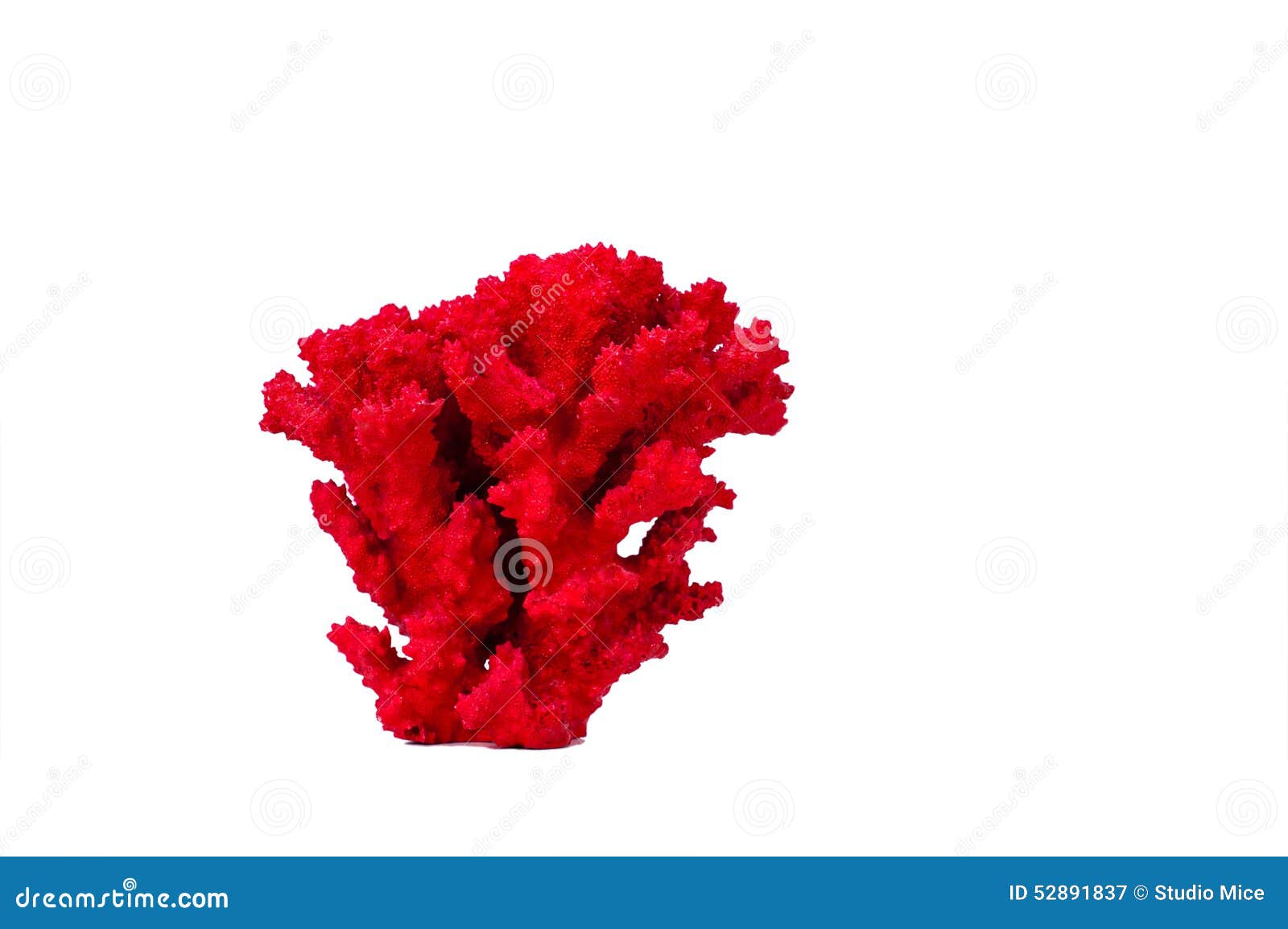 Red coral stock image. Image of imagery, closeup, decoration 52891837