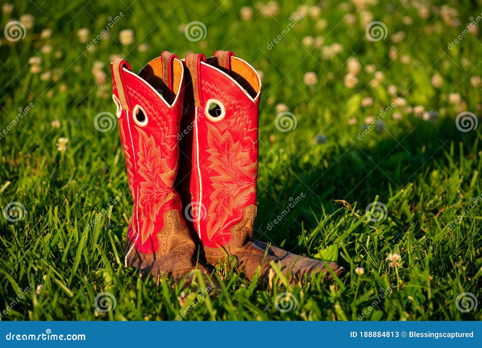 Red Cowboy Boots In The Grass Stock 