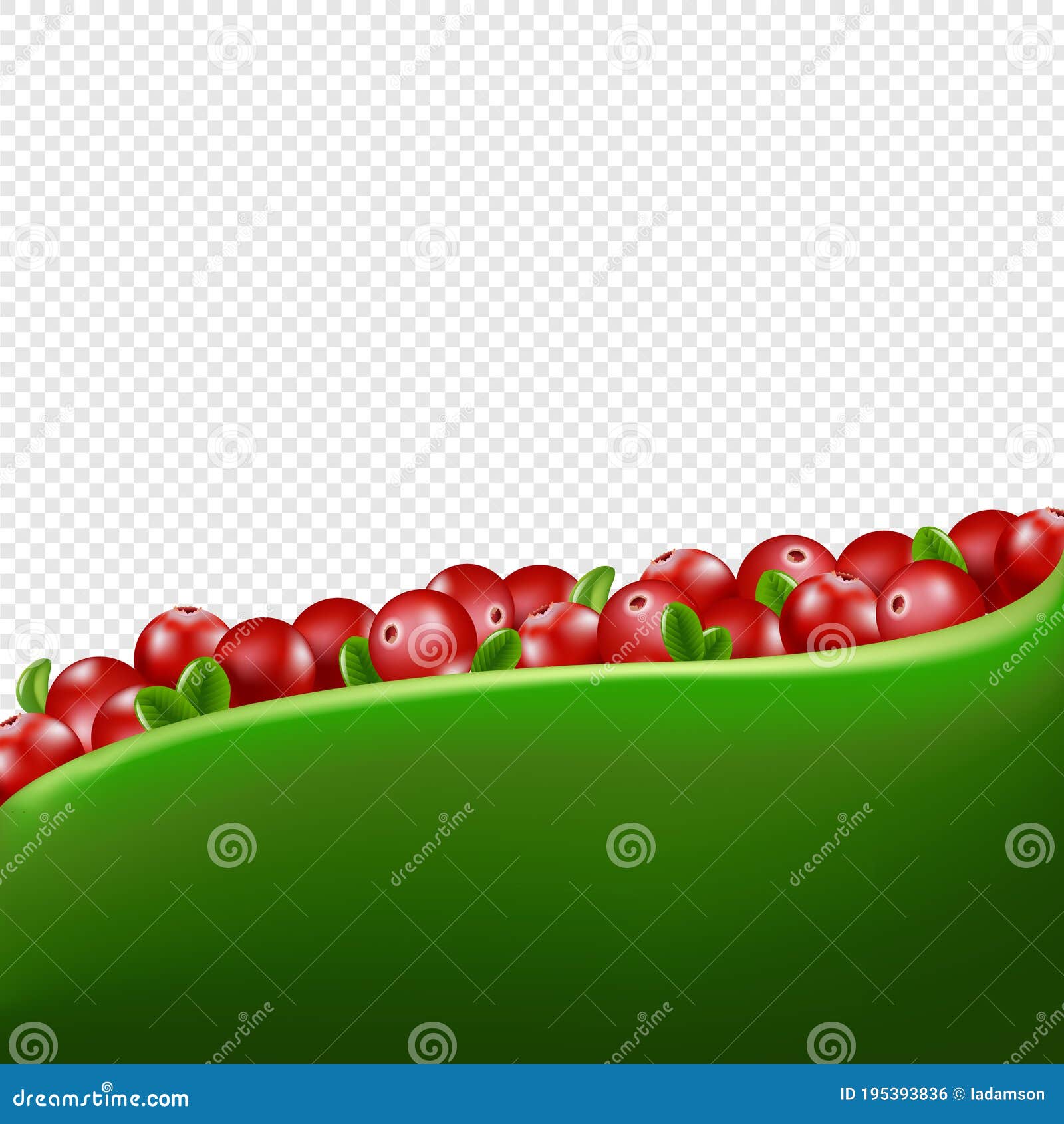 red cranberry border transparent background
