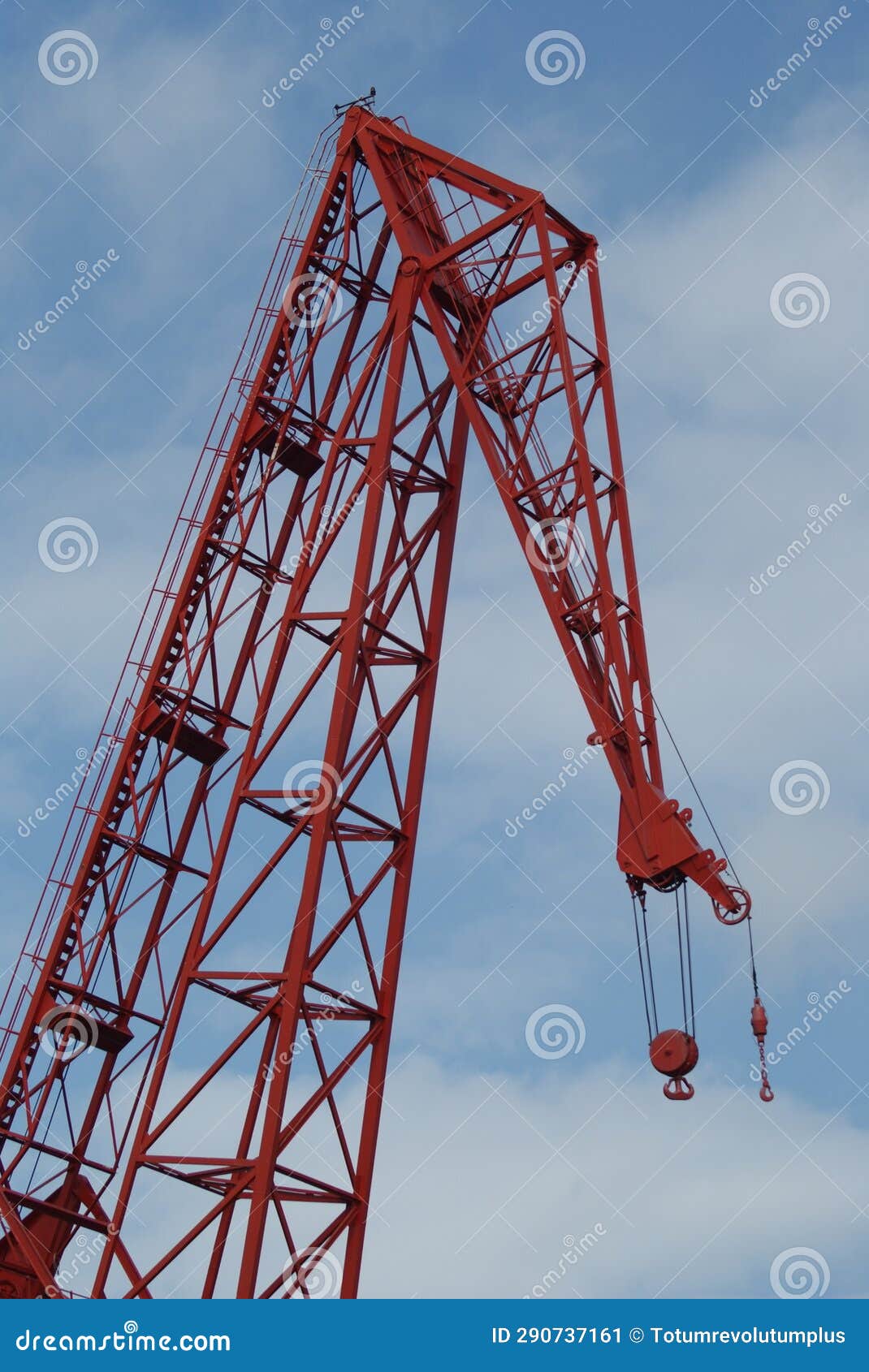 red crane closeup with blue sky background
