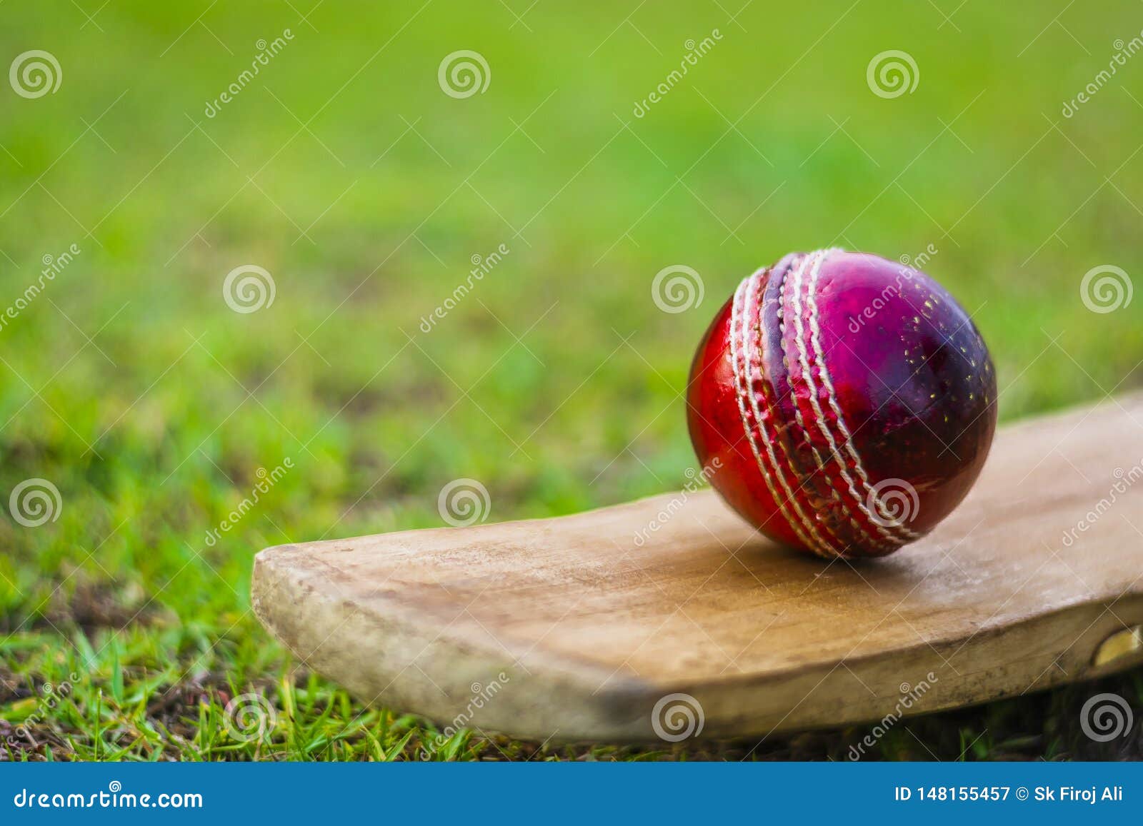 Red Cricket Ball on the Bat in Green Playground Stock Image Image of