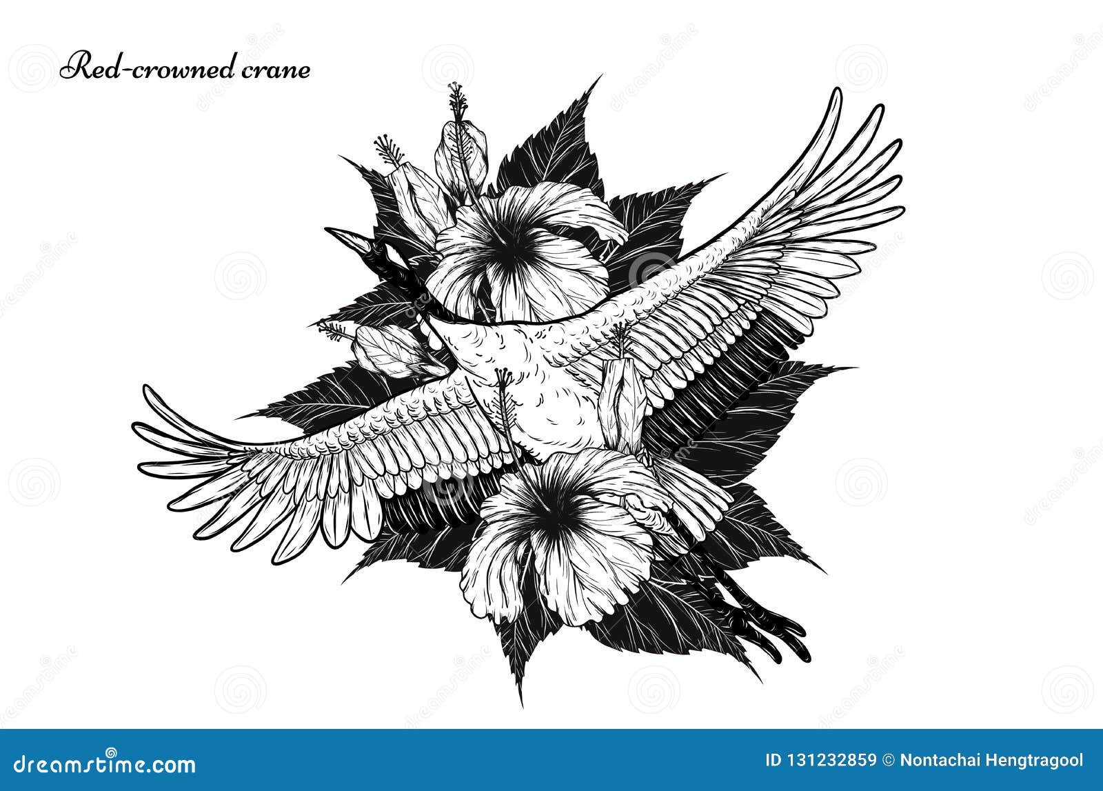Redcrowned Crane Tattoo PNG 3508x3508px Crane Art Beak Biomechanical  Art Bird Download Free