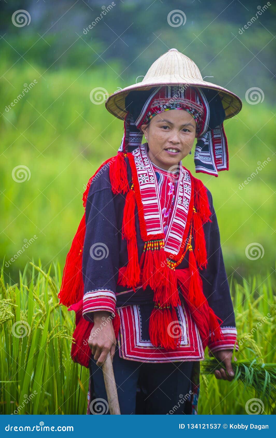 Red Dao Ethnic Minority in Vietnam Editorial Photography - Image of ...