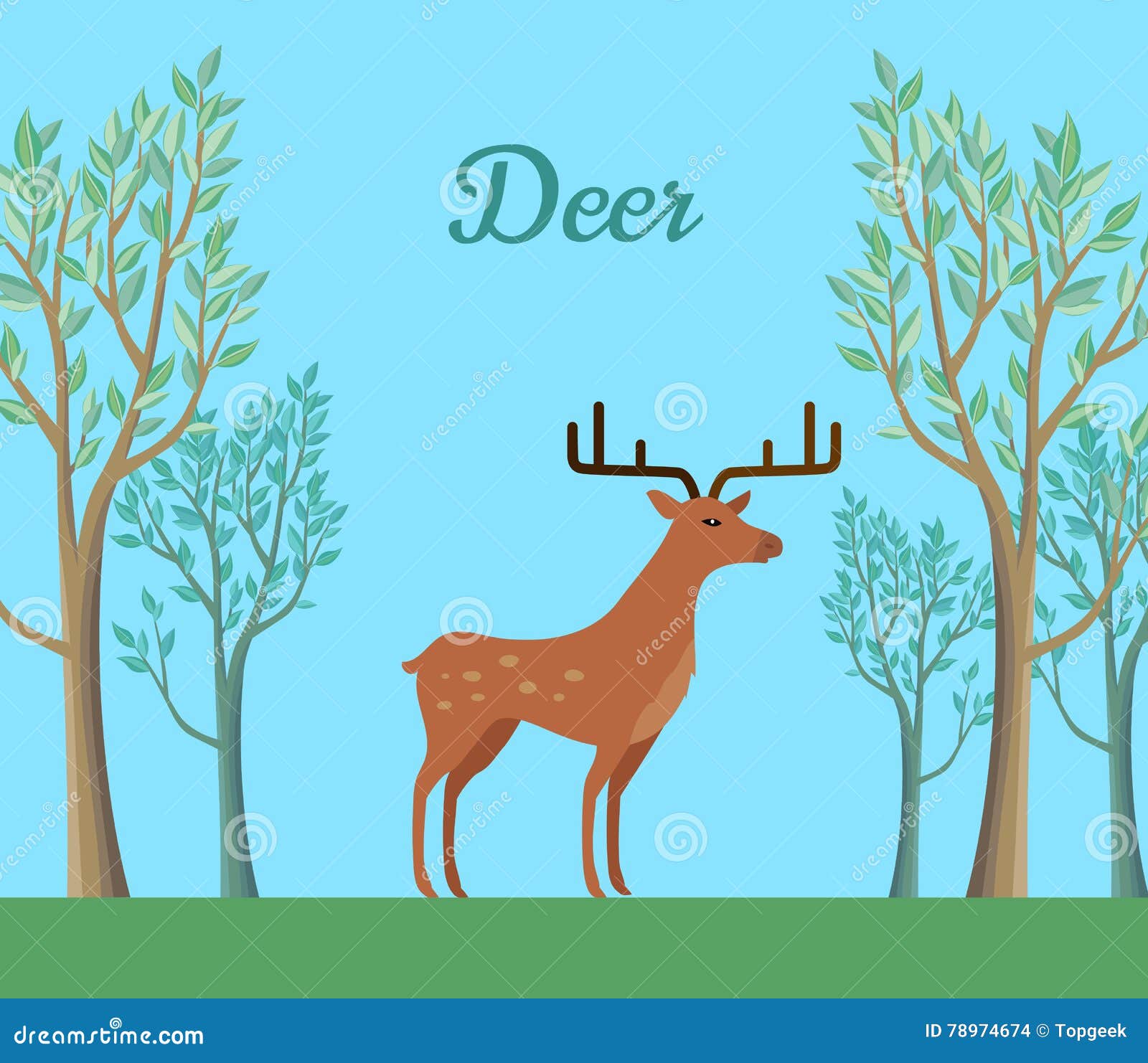 red deer in the forest. ruminant mammal