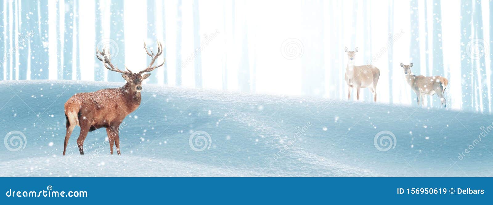 Red Deer in a Winter Magic Forest in the Rays of Light. Christmas