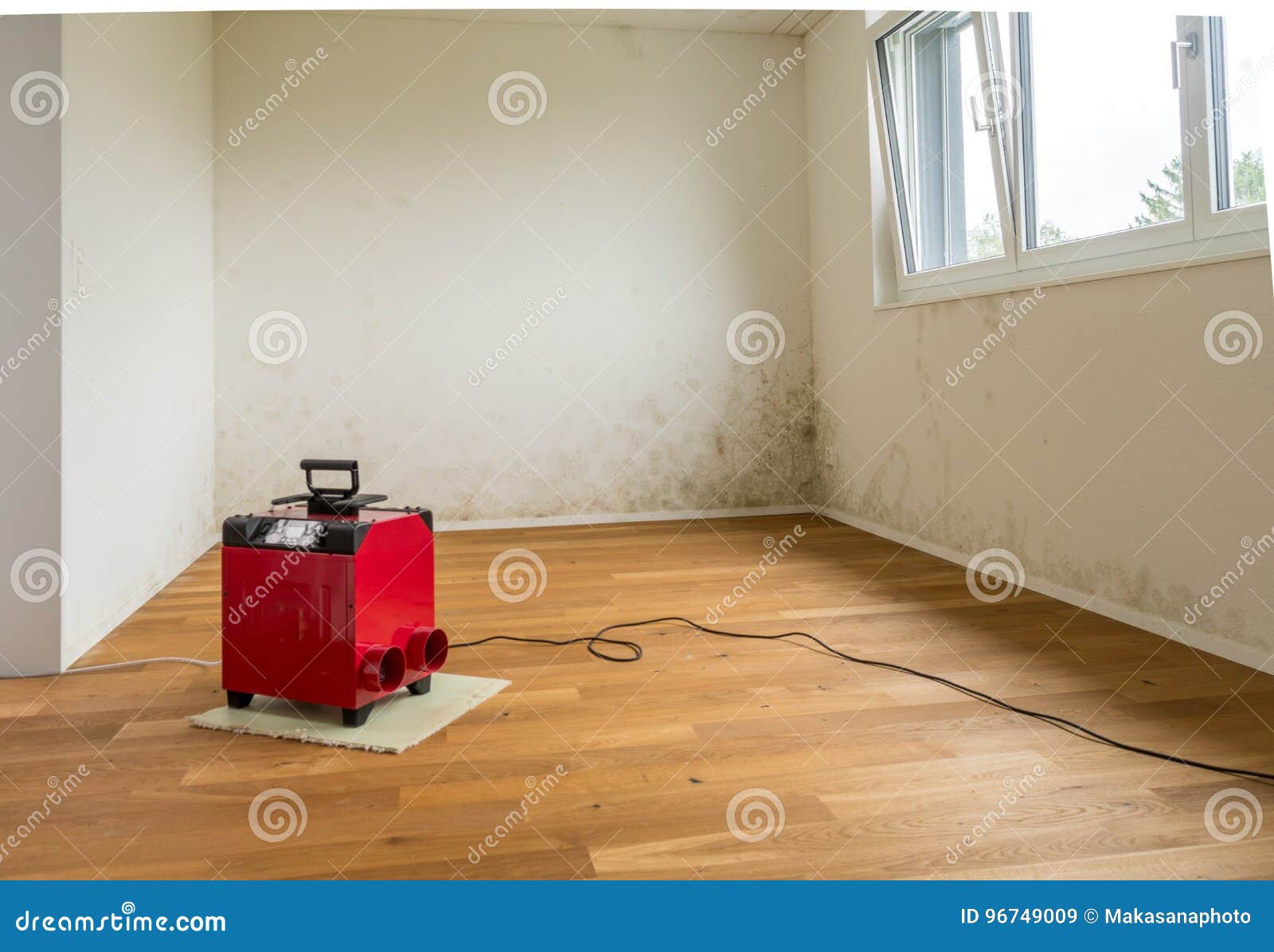 Red Dehumidifier and Mildew and Mold in an Apartment Room Stock Image
