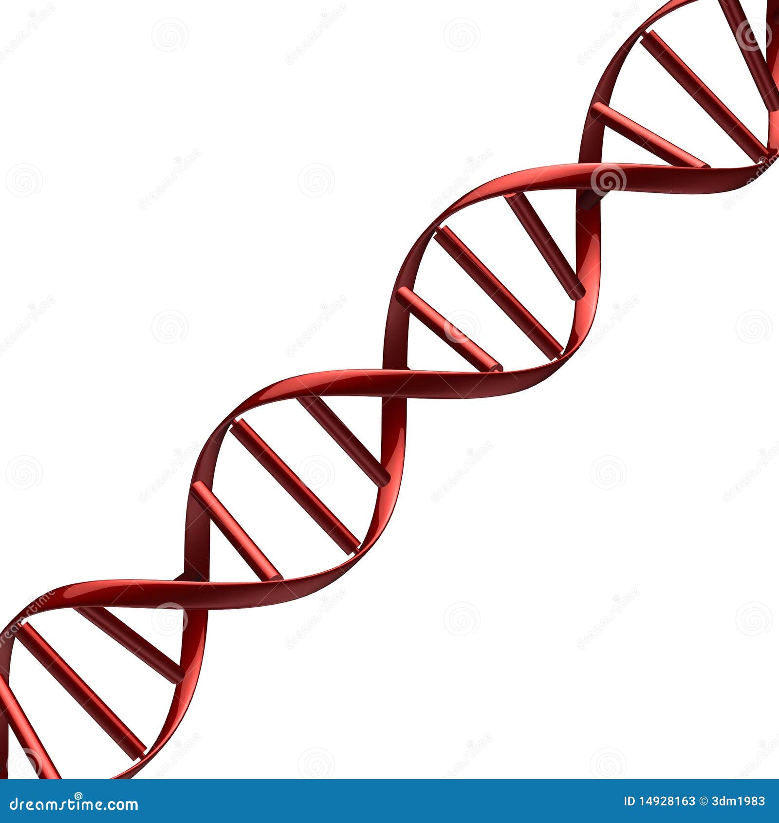 human genome clip art - photo #13