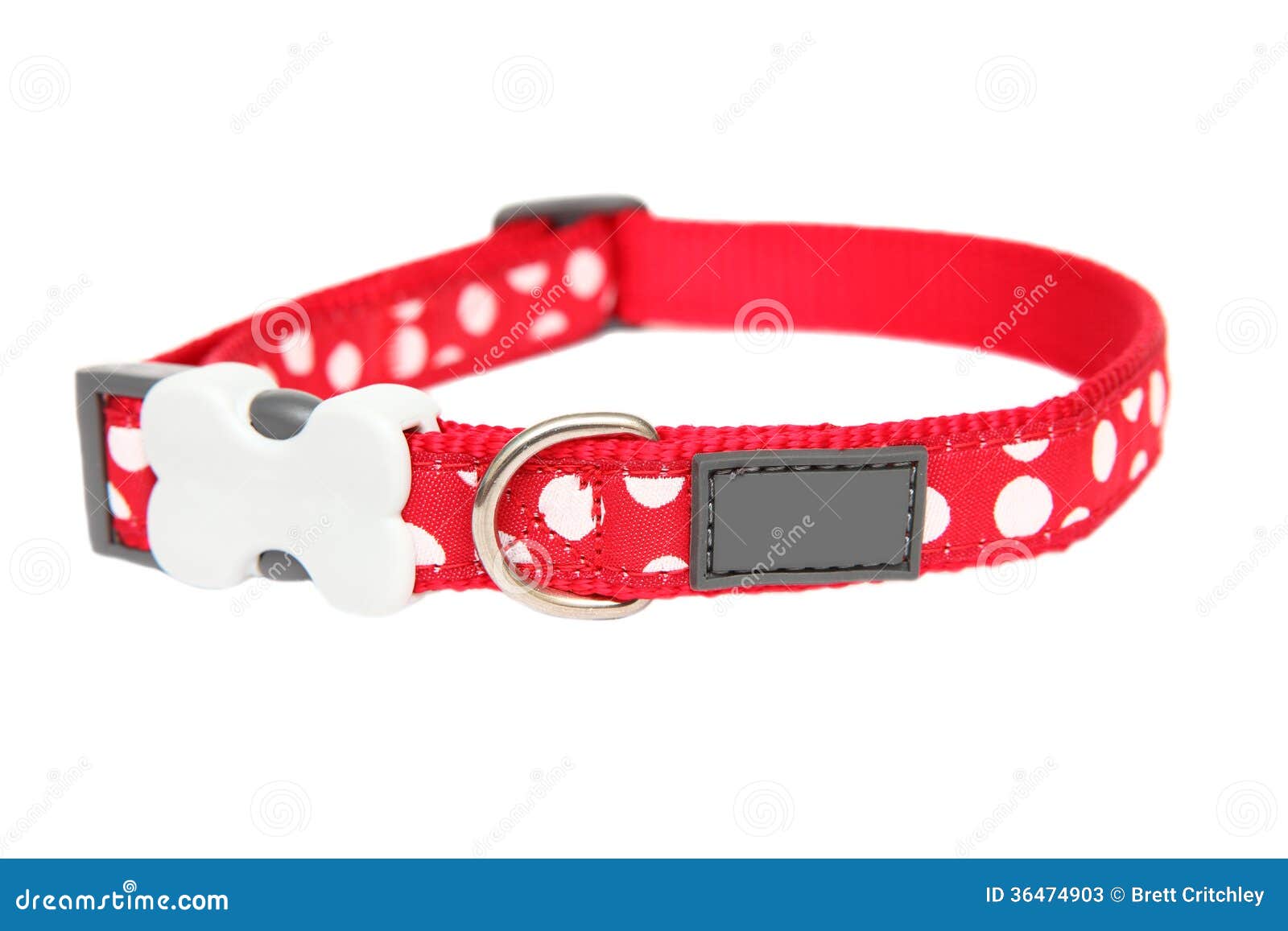 Red dog collar stock image. Image of white, collar, copy 36474903