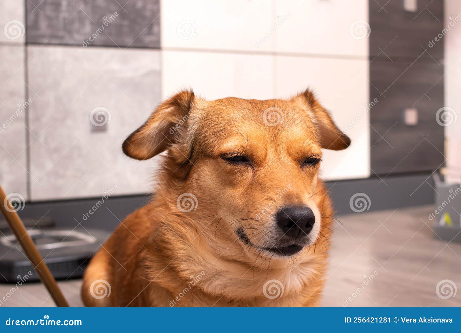 Scarface. A Young Man With A Big Scar On His Face Royalty-Free Stock