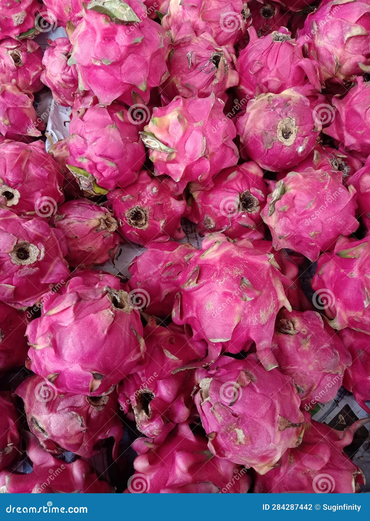 Red Dragon Fruit with Vitamin C in the Market Stock Photo Image of