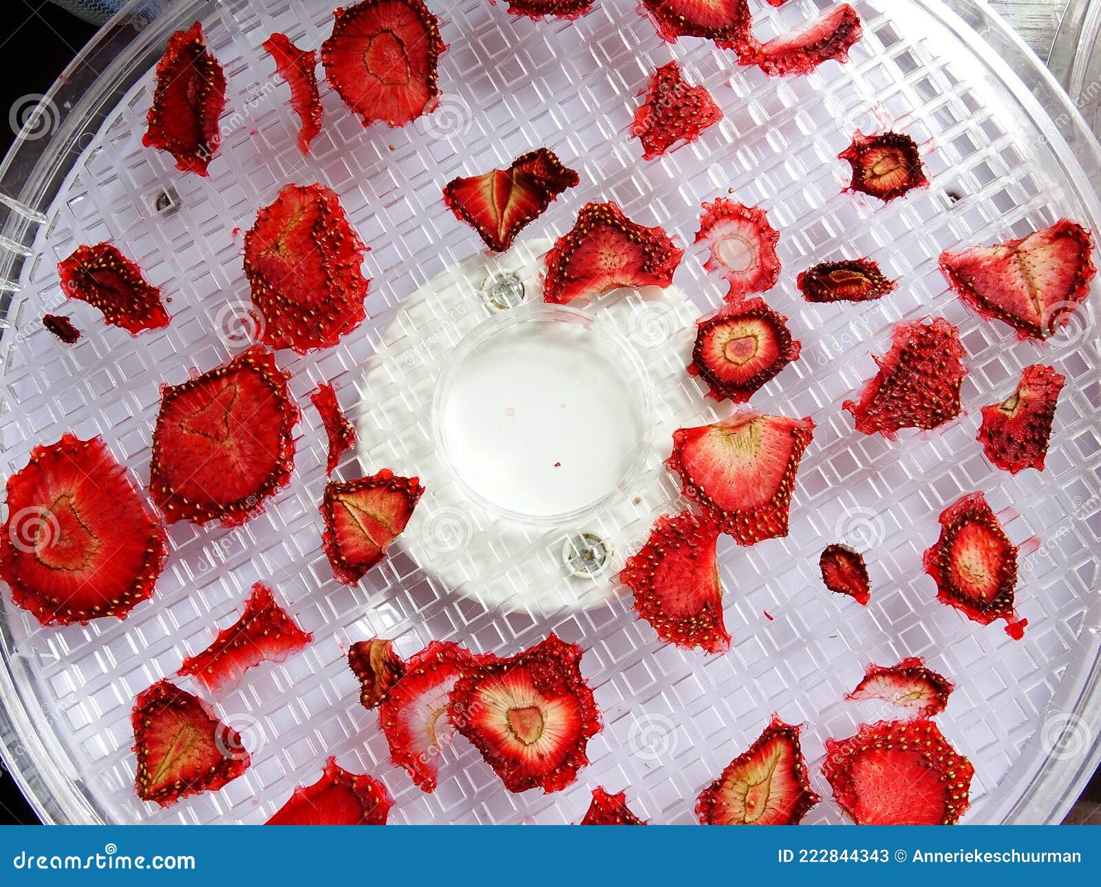 Dried Strawberries on a Tray of the Drying Oven Stock Image Image of