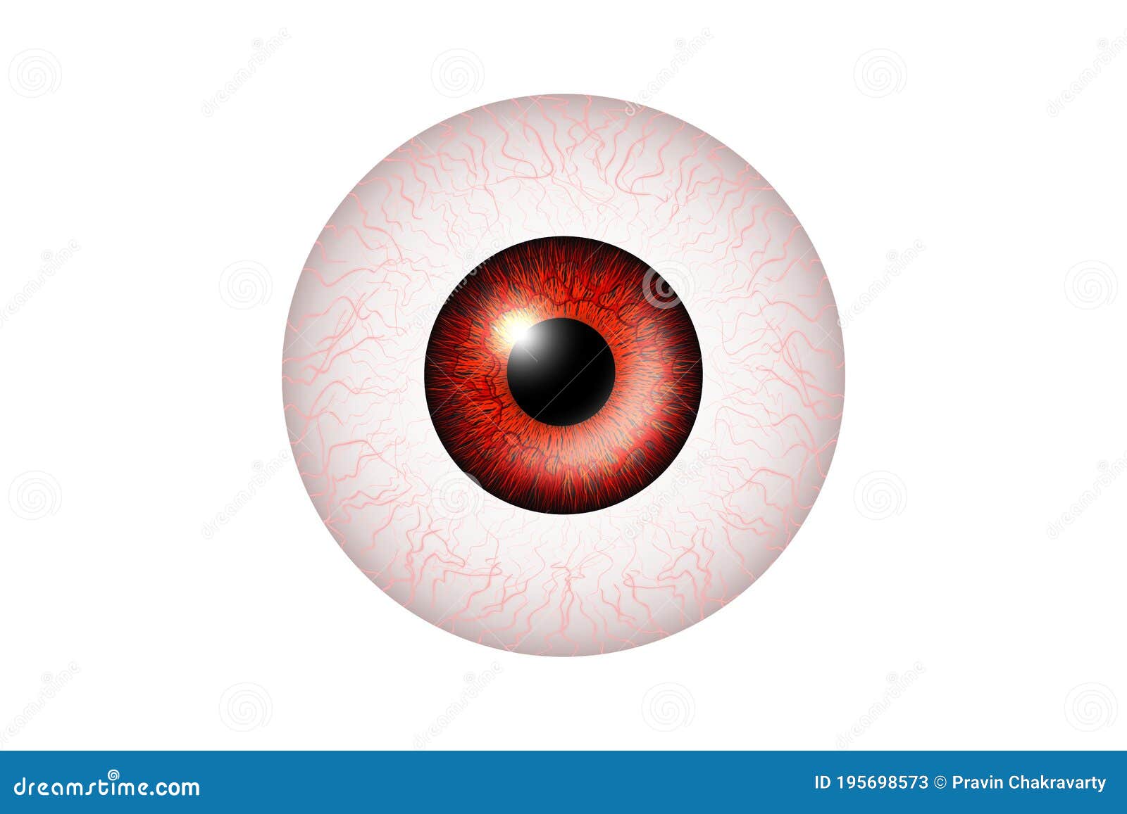 Red Eye Realistic. Vector Illustration of Human Glossy Photo Realistic Eye Shine and Reflection Stock Vector Illustration circle, beauty: 195698573