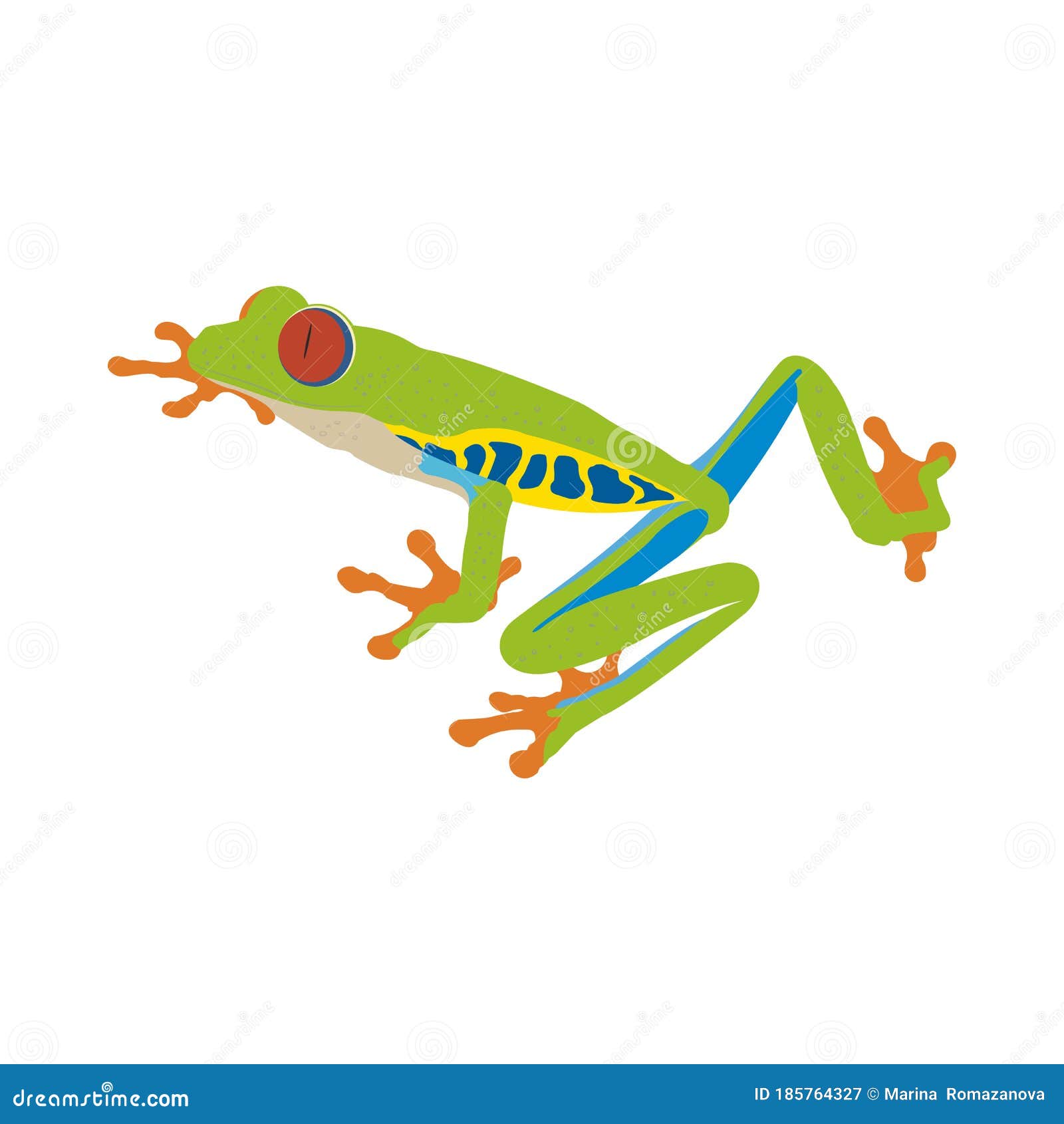 Red-eye Tree Frog Flat Design Stock Vector - Illustration of ecology,  design: 185764327