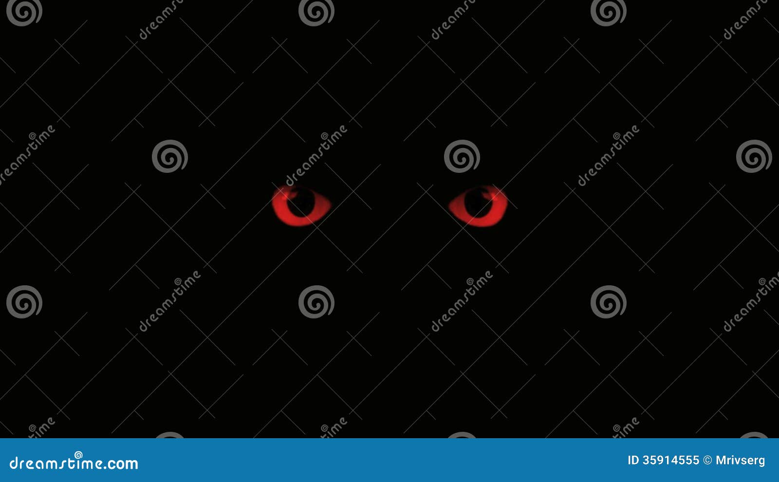 Red eyes stock video. Video of close, looking, concepts 35914555