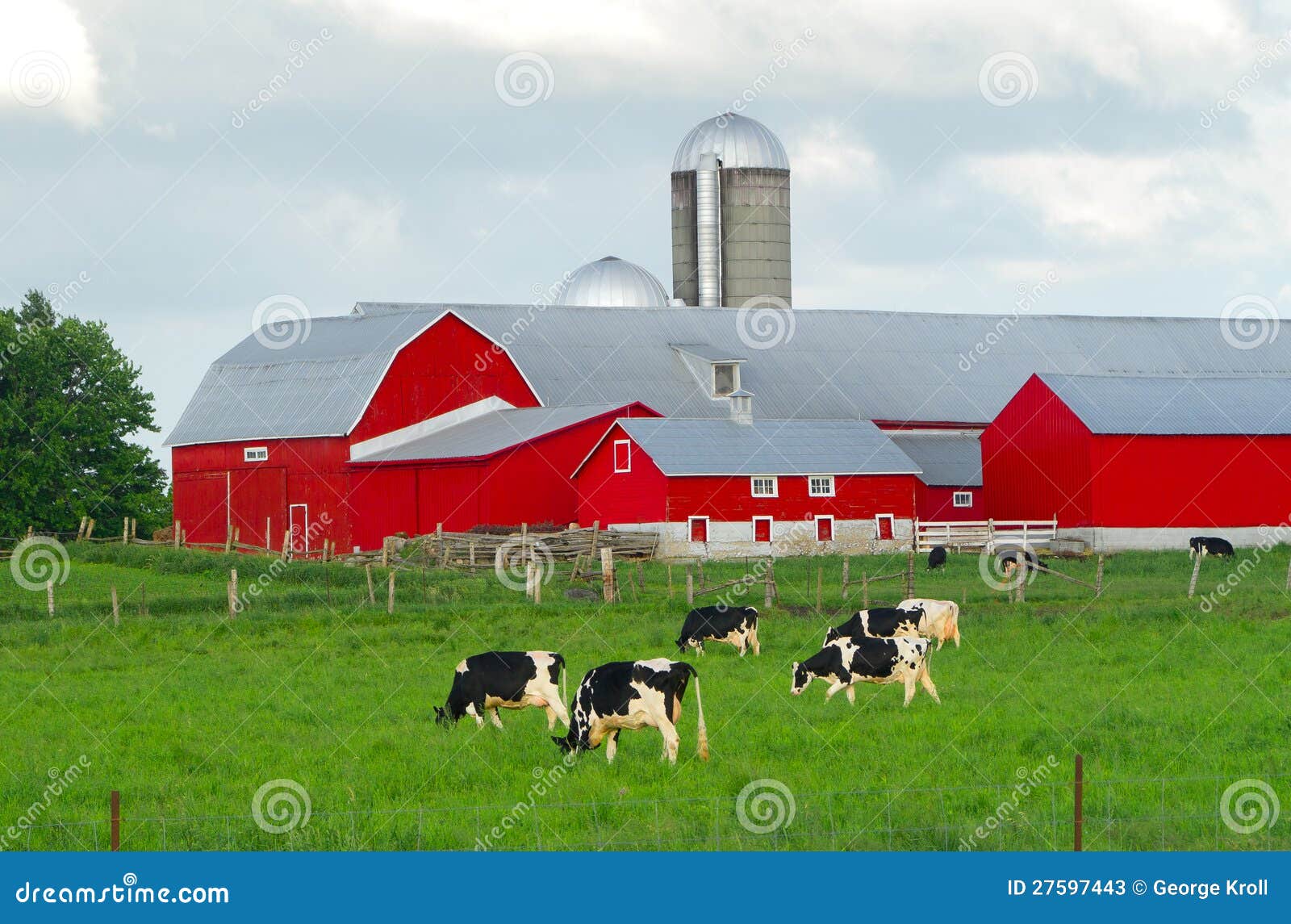 Red Barn Cows Hot Pads Farm Print