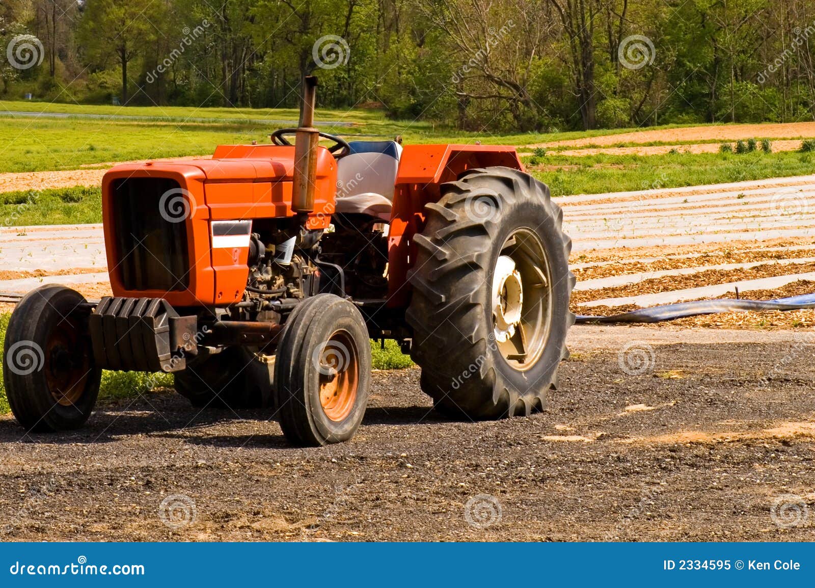 Red farm tractor in field stock image. Image of motorized 2334595