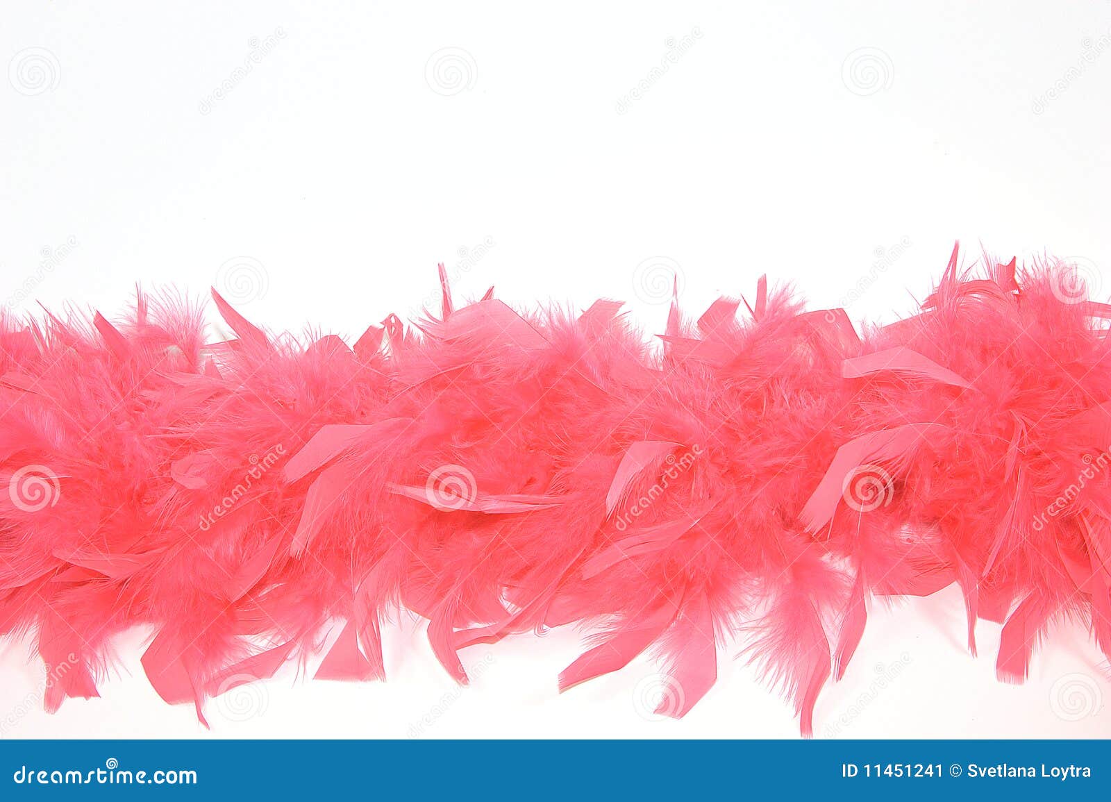 114,424 Red Feathers Stock Photos - Free & Royalty-Free Stock Photos from  Dreamstime
