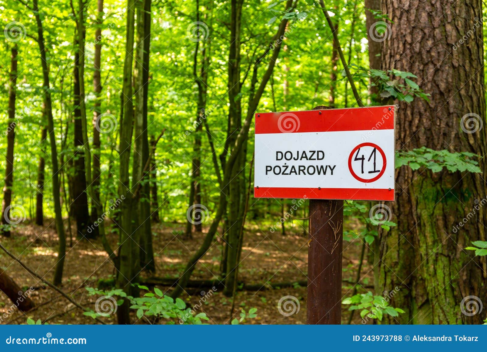 red fire access, fire road signpost polish: dojazd pozarowy, droga pozarowa in puszcza marianska nature reserve