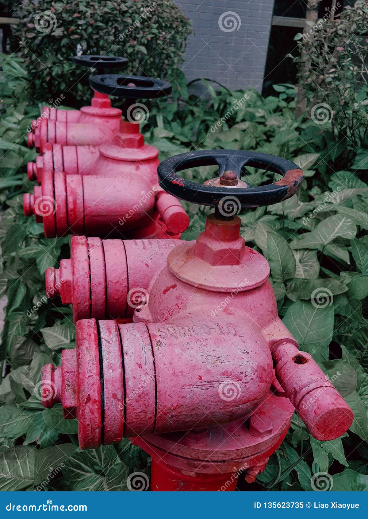 Fire hydrants in the grass stock image. Image of queue 135623735