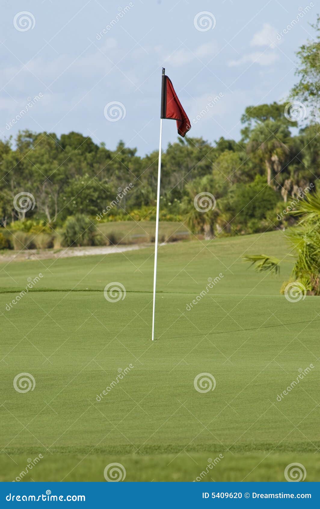 Red Flag on the Green stock photo. Image of golf, myers 5409620