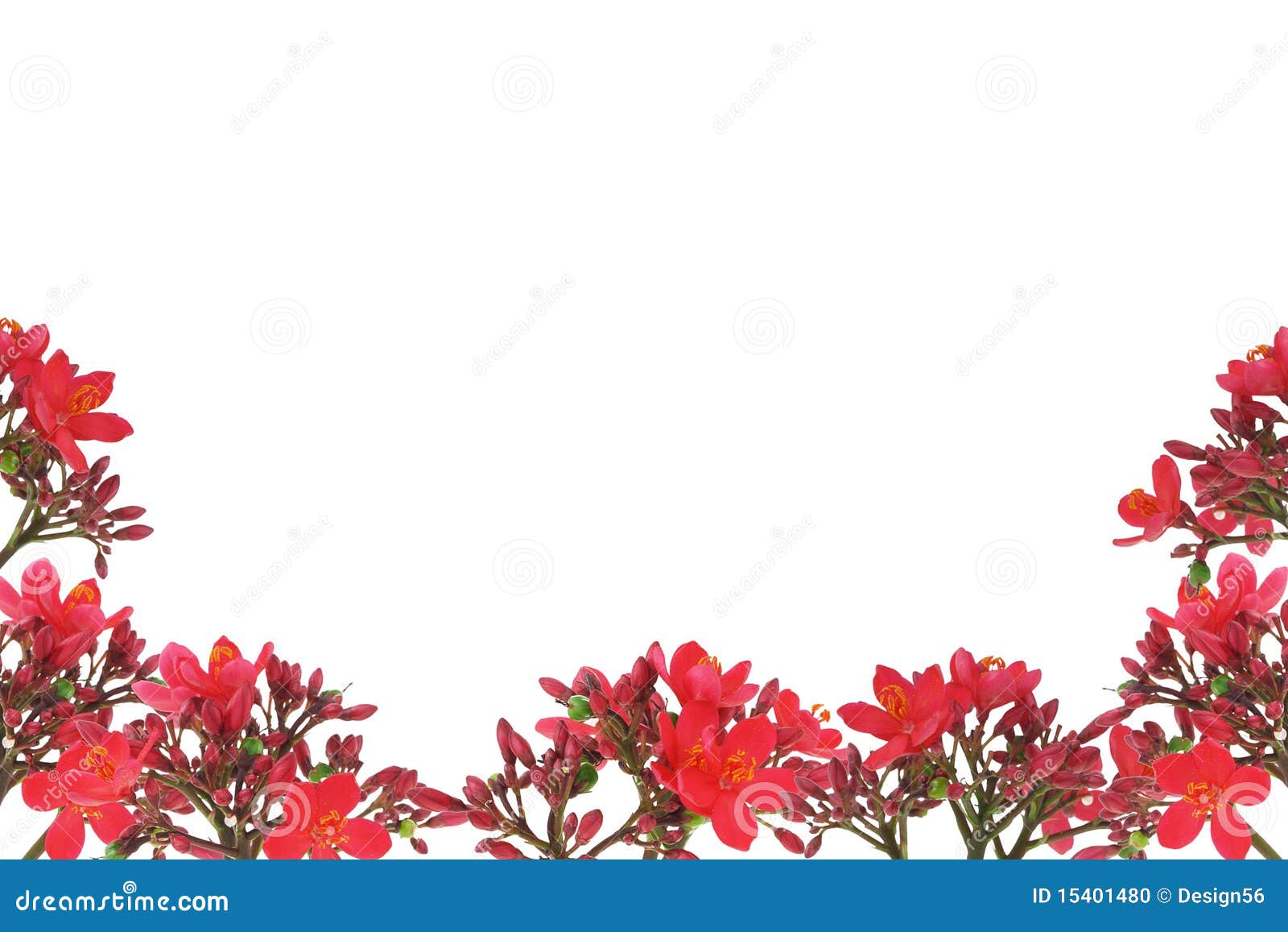 Red floral design border stock photo. Image of petal - 15401480