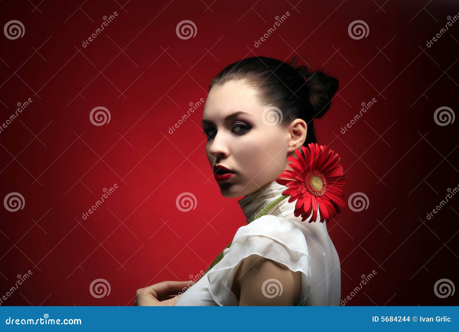 Red flower stock photo. Image of holding, beauty, fresh 5684244