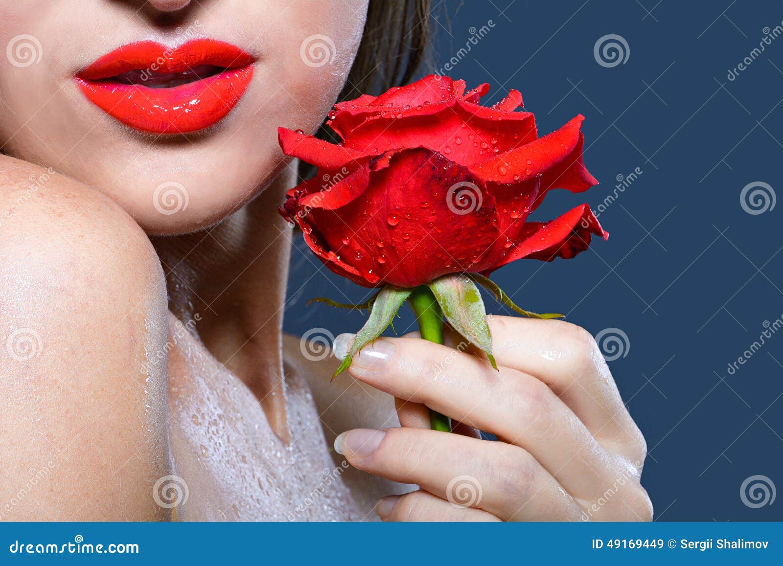 Red flower stock image. Image of studio, portrait, beautiful 49169449