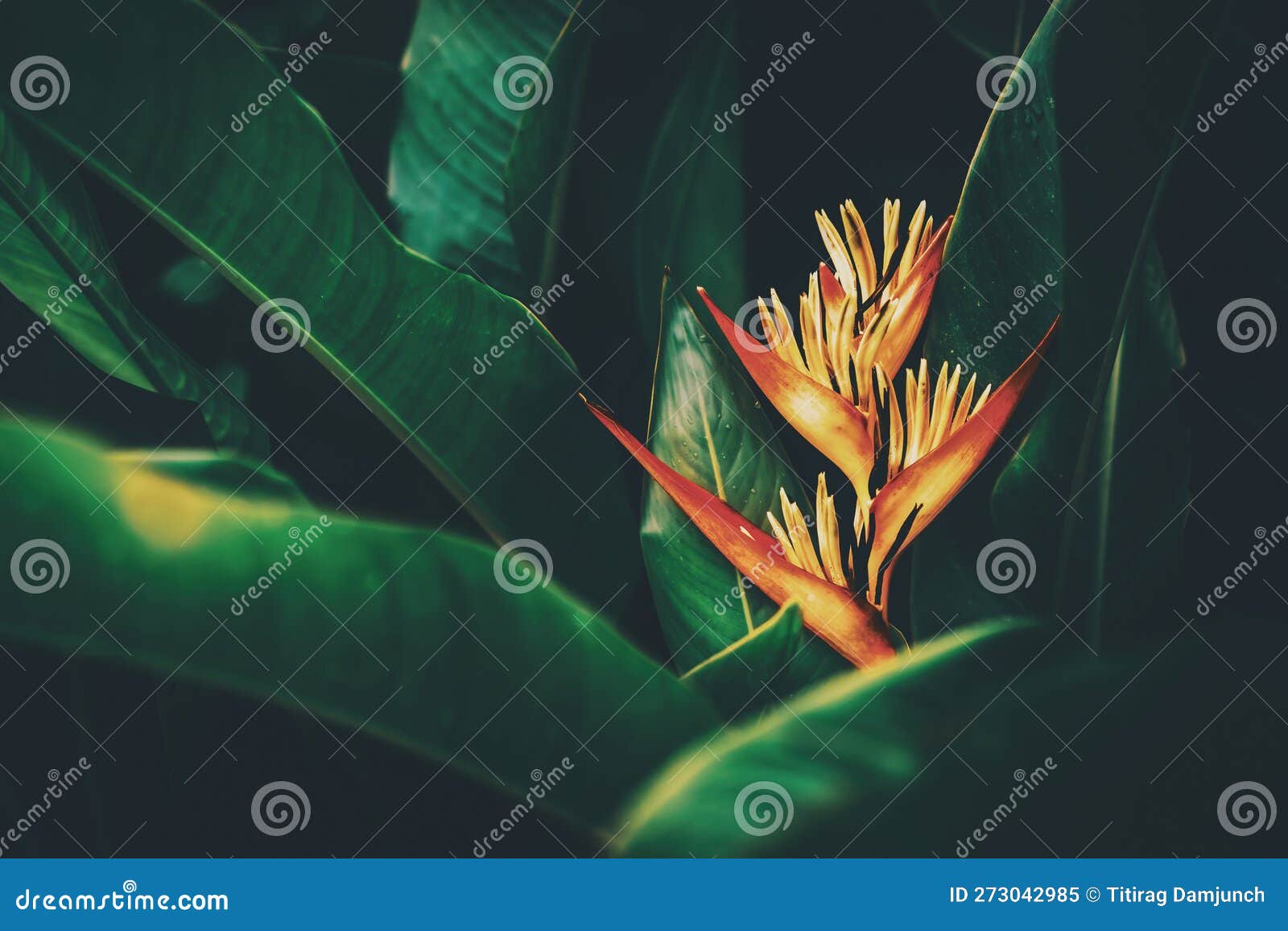 red flower and green leaves abstract background. nature and environmnet concept