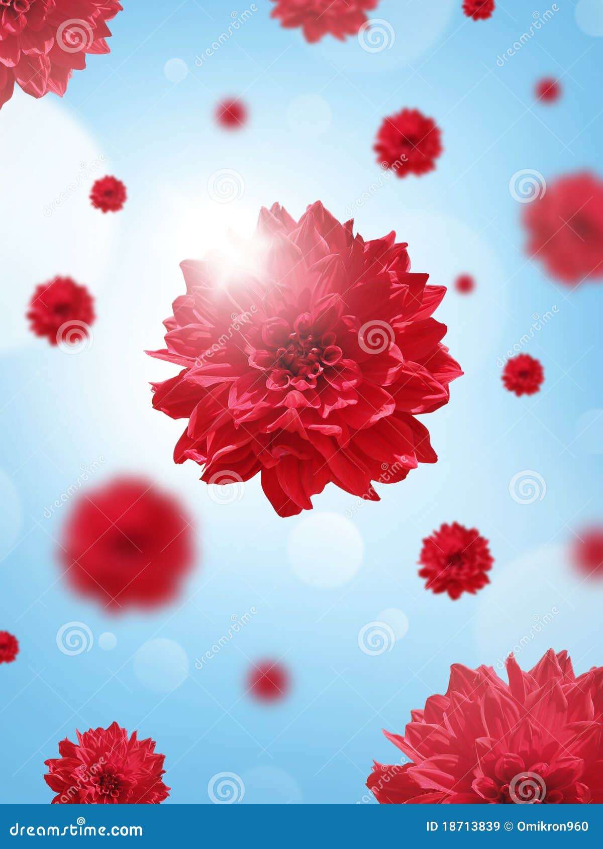 Red flowers background stock image. Image of spring, petals 18713839