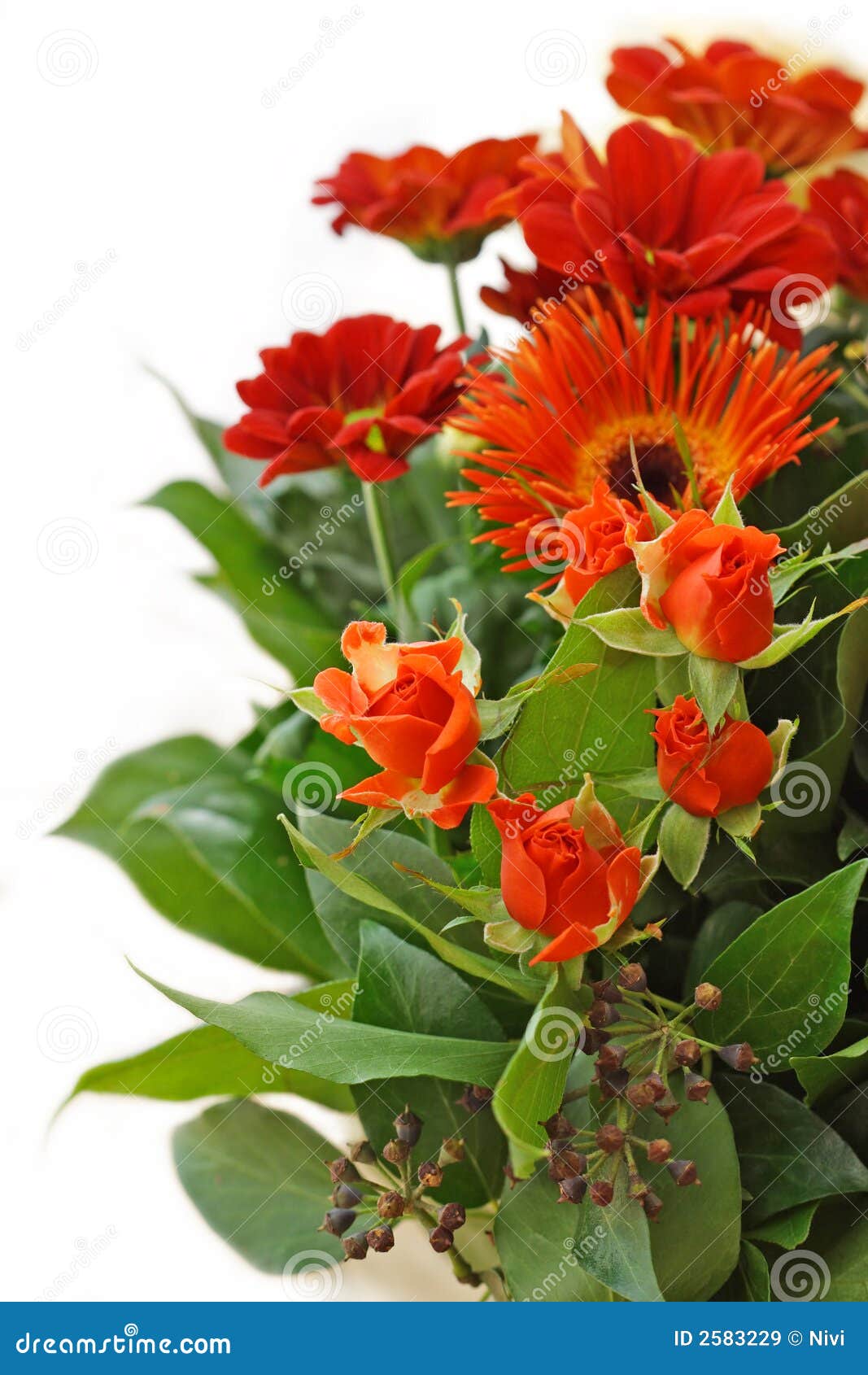 Red flowers bouquet stock image. Image of bunch, floral 2583229