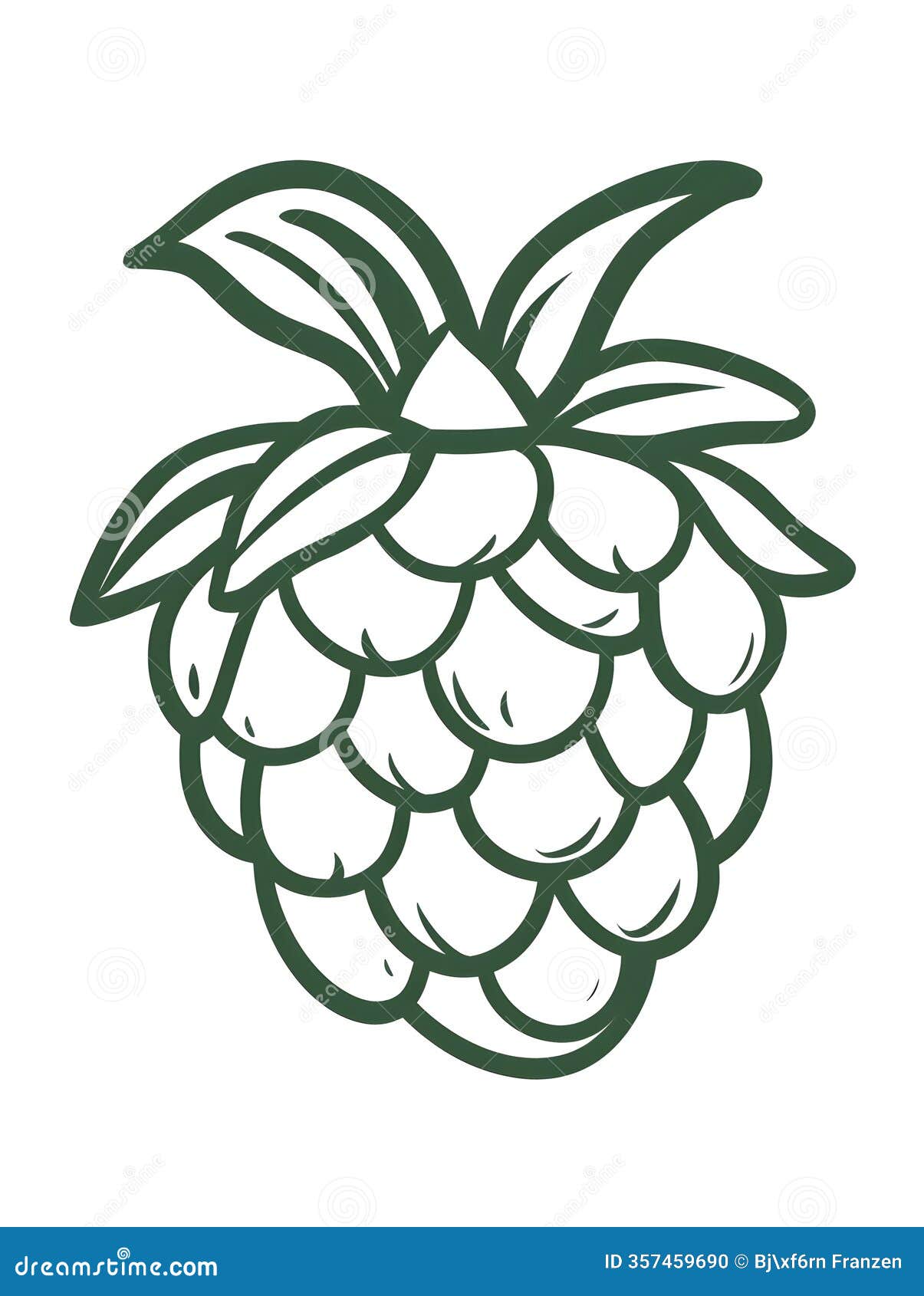 simple fresh healthy raspberry fruit food icon 