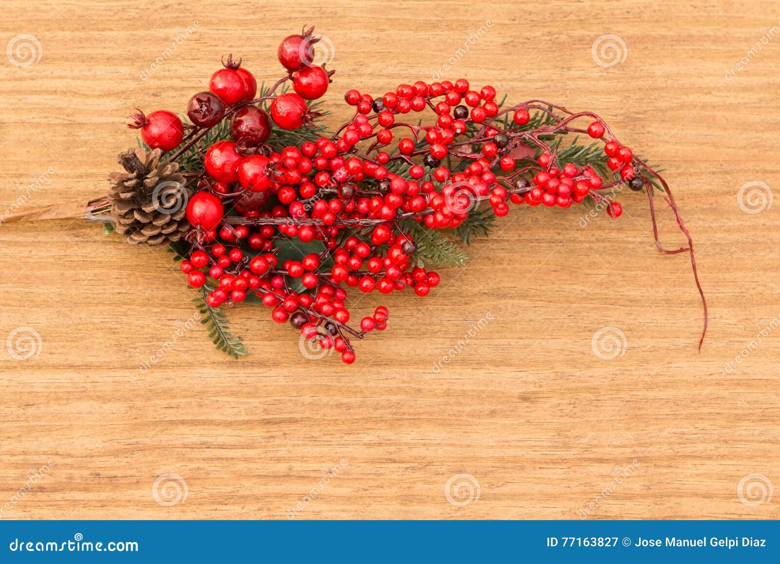 Red Fruits on the Branch Christmas for Decoration Stock Image - Image ...