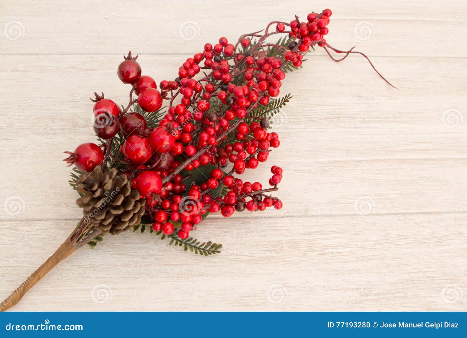Red Fruits on the Branch Christmas for Decoration Stock Photo - Image ...