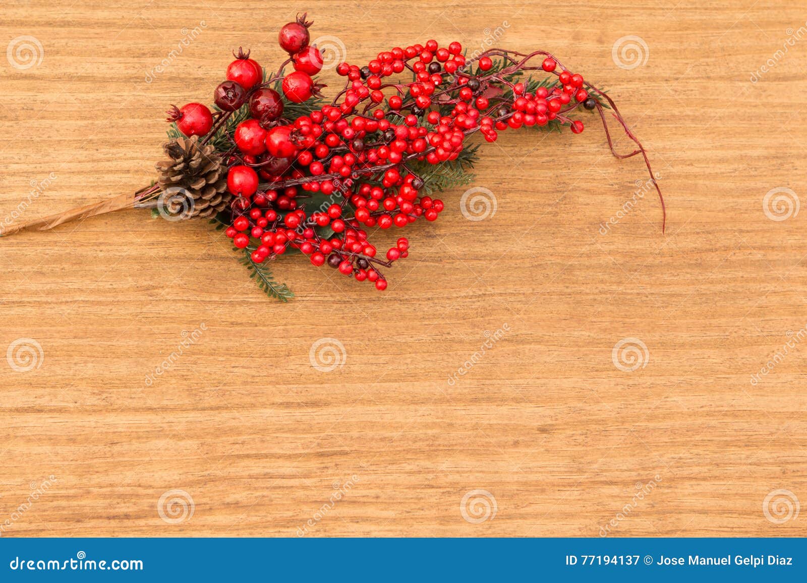 Red Fruits on the Branch Christmas for Decoration Stock Image - Image ...