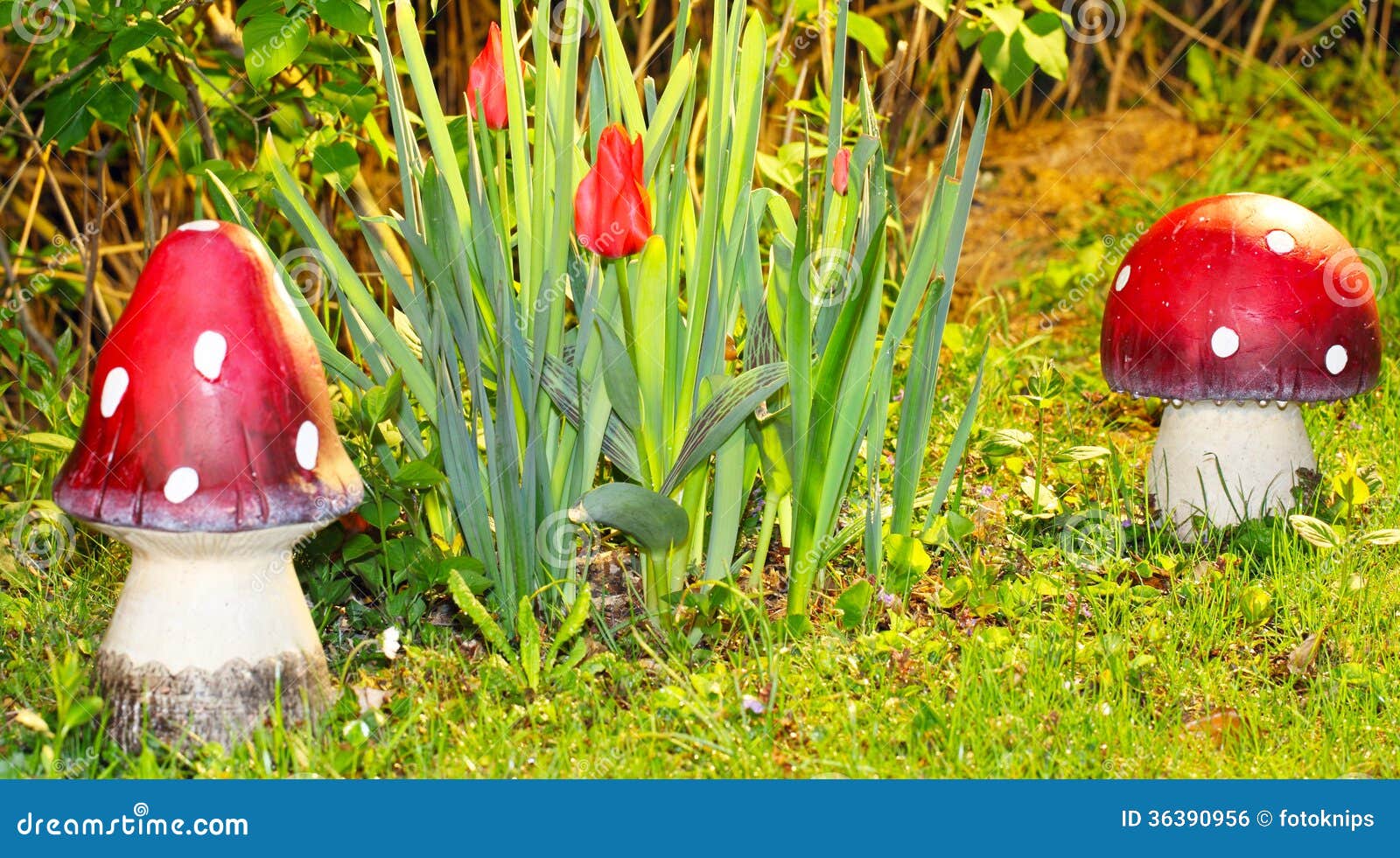 Red garden decoration stock photo. Image of lucky, white 36390956