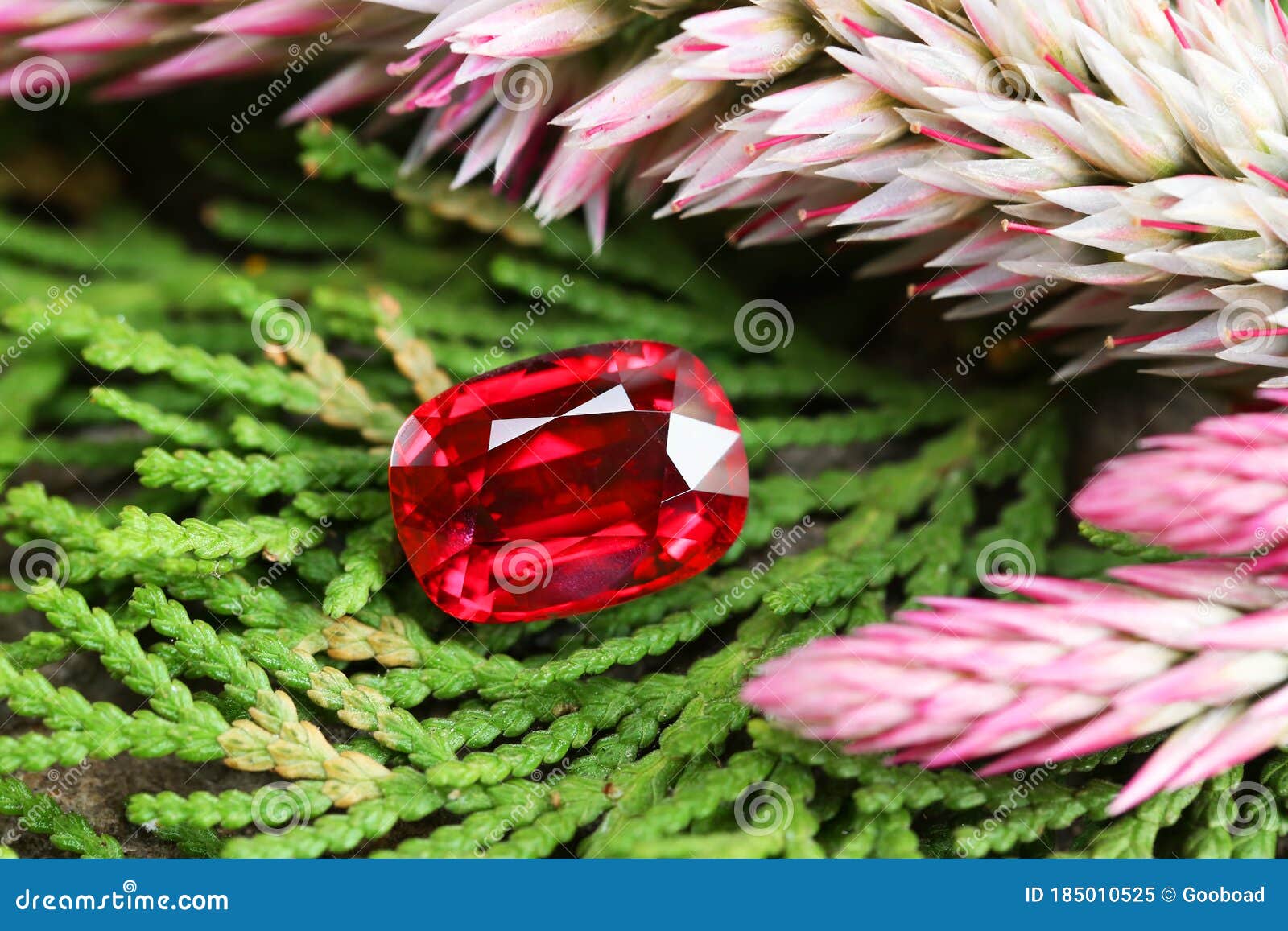 Gem stone Beauty Shot stock image. Image of beauty, stone - 185010525