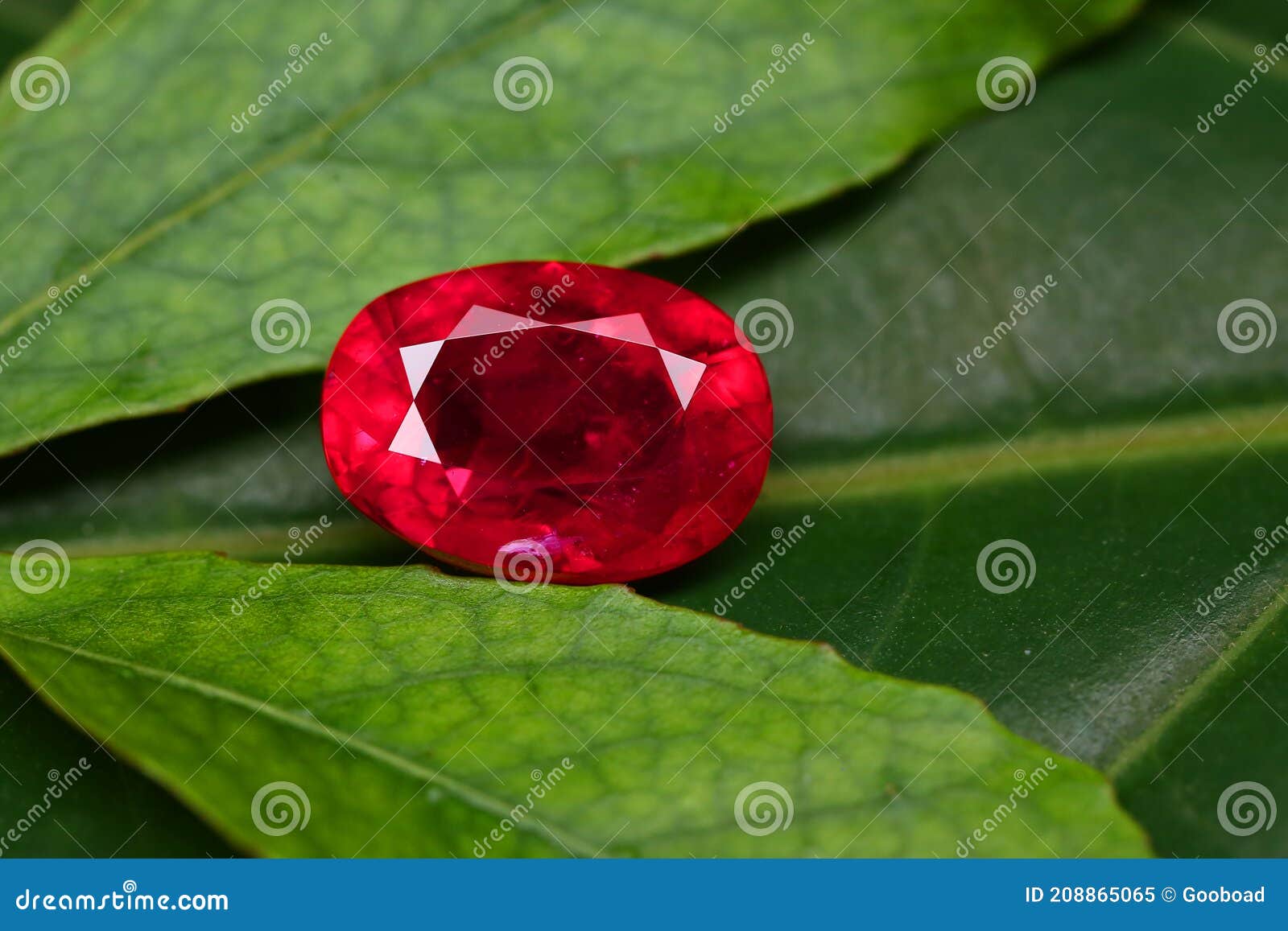 Gem Stone Beauty Shot Red Gemstone Stock Image Image of stone