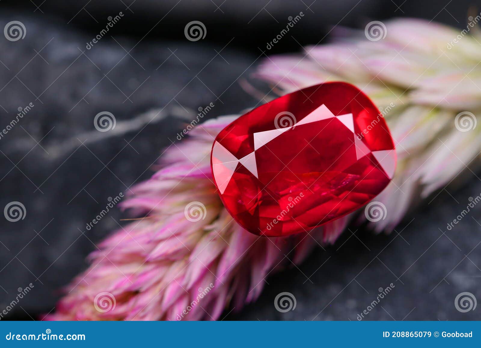 Gem Stone Beauty Shot Red Gemstone Stock Image Image of gemstone