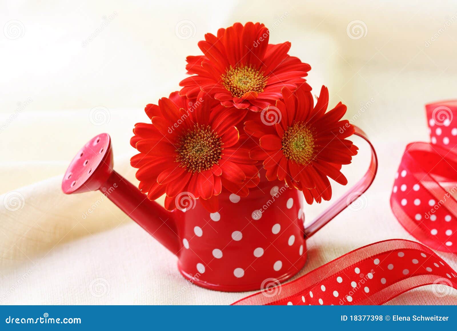 Red gerber flowers stock photo. Image of dots, valentin - 18377398