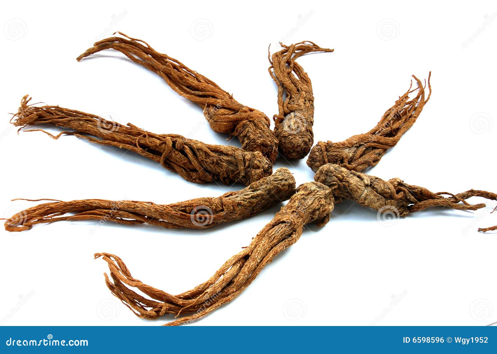 Red Ginseng stock photo. Image of energy, remedy, herb 6598596