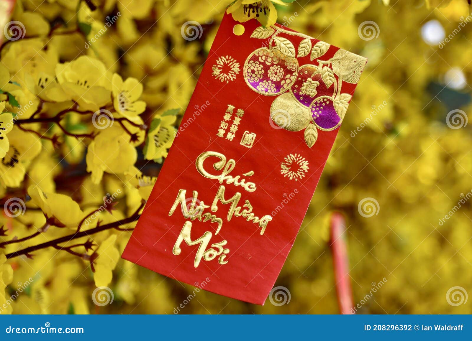 Red envelopes Lunar New Year Calligraphy decorated with text Merit,  fortune, longevity in Vietnamese means anyone receives money from envelope  Stock Photo - Alamy