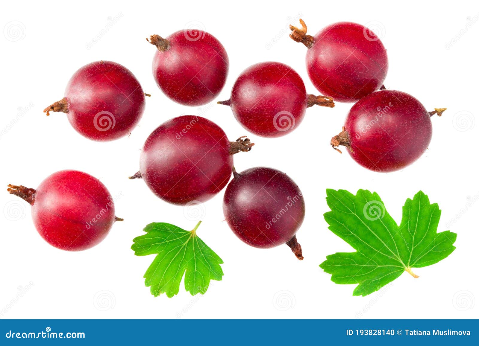 Red Gooseberry with Leaves Isolated on White Background. Top View Stock